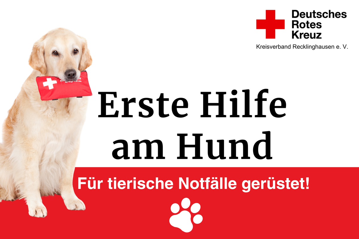 Erste Hilfe